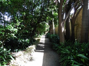 There are paths everywhere!       